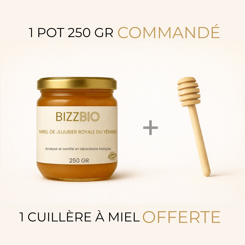 Miel de Jujubier du Yémen