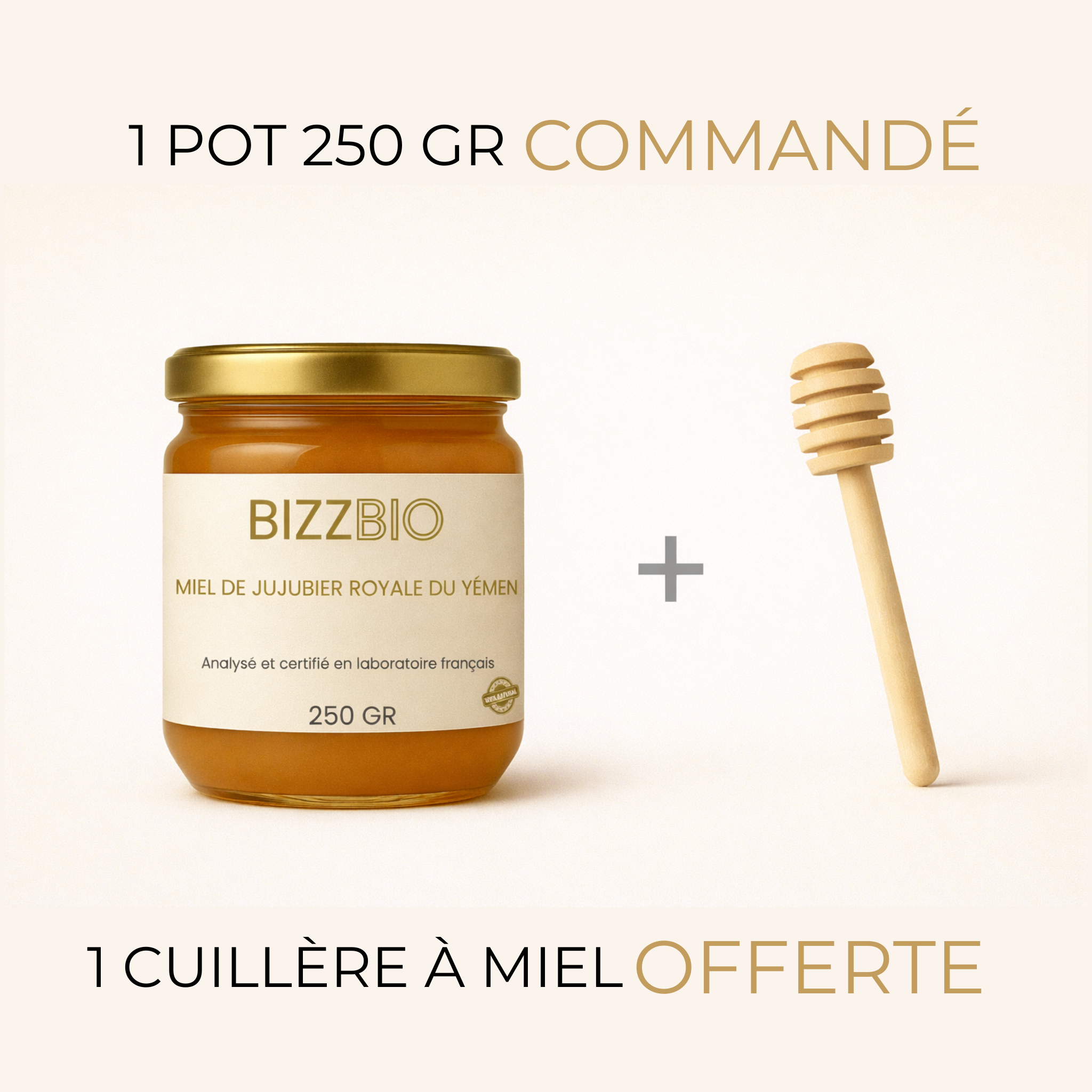 Miel de Jujubier du Yémen