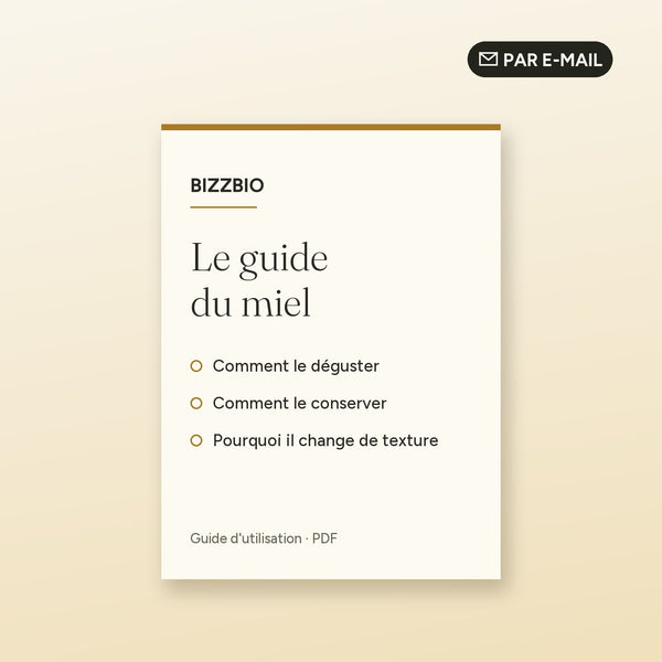 Guide PDF